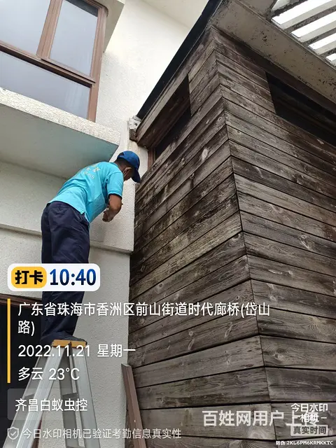 专业甲醛治理 白蚁防治 杀白蚁  防蛇驱蛇 - 图片 1