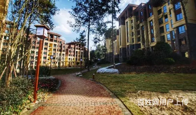 枕泉翠谷  翡翠星空 - 图片 5