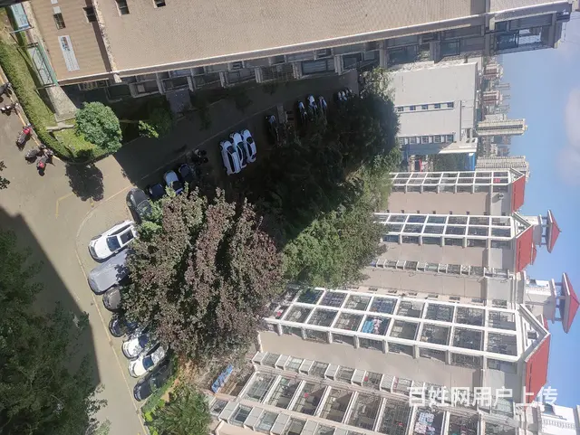 海玻市场旁高楼层三房2100低价出租 - 图片 6