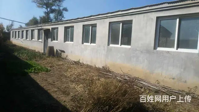 出租出售农村大院 - 图片 2