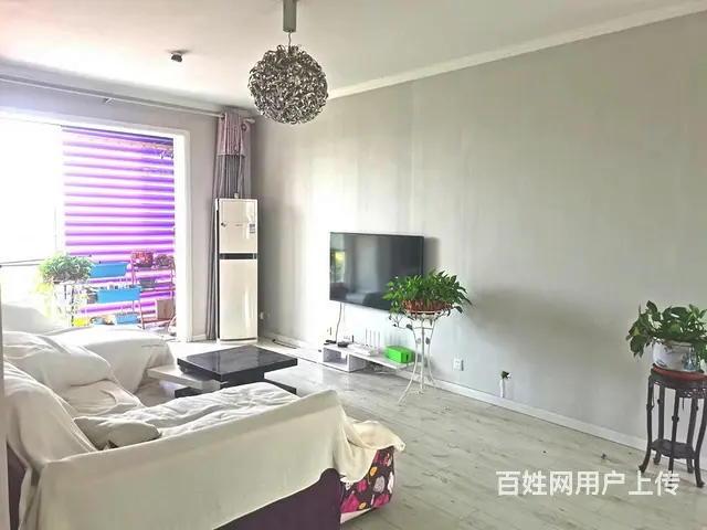 新京都三居室有证精装修81万 - 图片 1