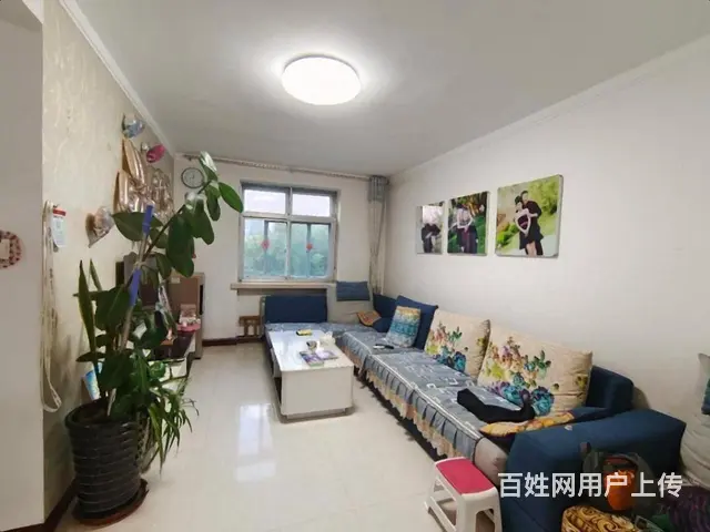 金华双本部！下楼即到校！精装两室非顶层 南北通透 老证可贷款 - 图片 2
