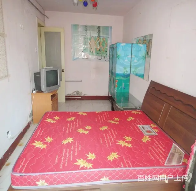 桃花街一室一厅4楼出租900 - 图片 1