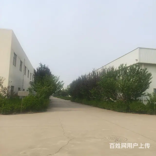 标准工业厂房仓库出租 - 图片 3