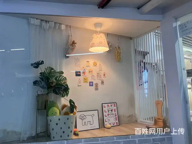 下城东新银泰商圈自带引流有固定群体宠物店转让 - 图片 5