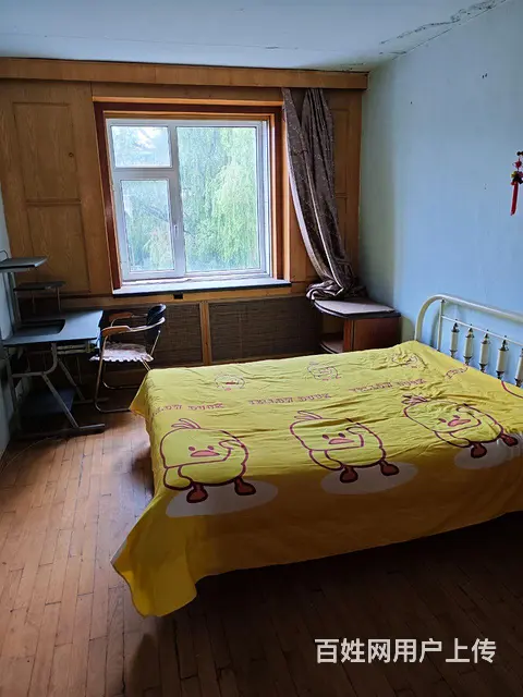 房屋整套出租 - 图片 9