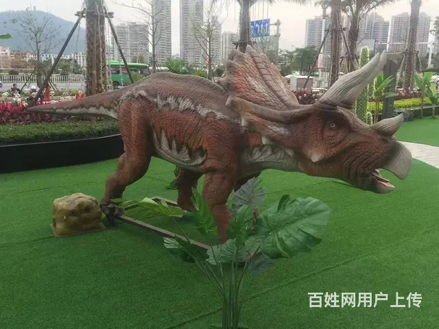 山西省忻州市 - 图片 10