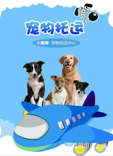 伊春周边宠物托运（猫狗活体快递）陆运 空运至全国 - 图片 2