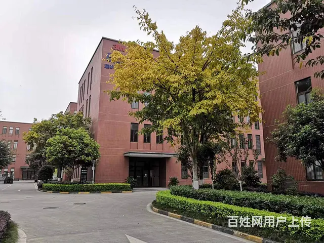 精选）郫都红光联东U谷园区厂房房东直租 - 图片 1