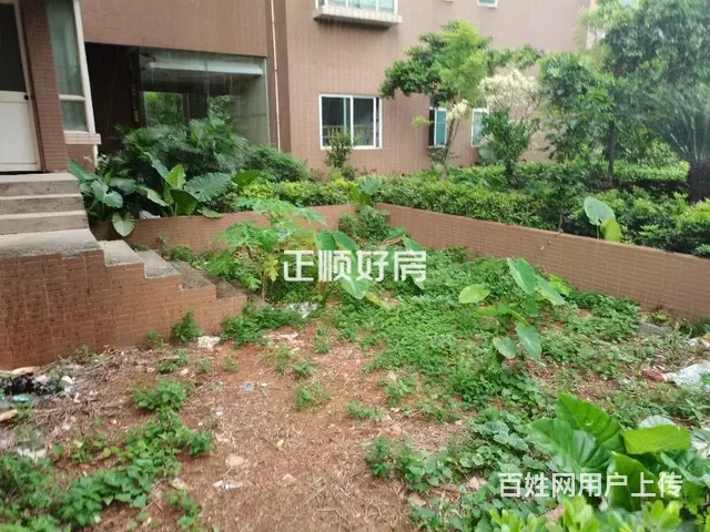 红旗中心地段，玉兰湖庭豪宅区，跃式南北通透，送大花园 - 图片 1