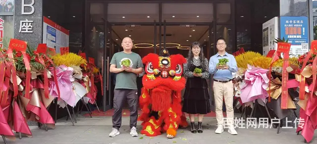 开业庆典/舞龙舞狮 - 图片 2
