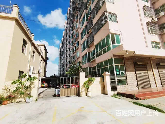 （51旺铺推荐）桂林洋小区门口旺铺招租 - 图片 1