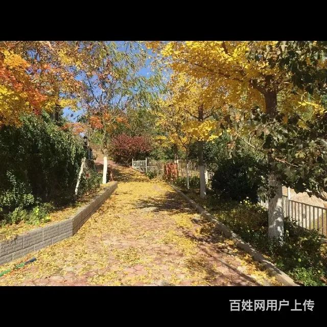 锦州果树农场 别墅卖房 - 图片 12