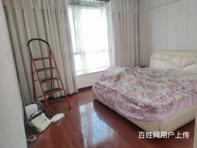湖星苑  黄金楼层 超值 便宜 高品质 - 图片 9