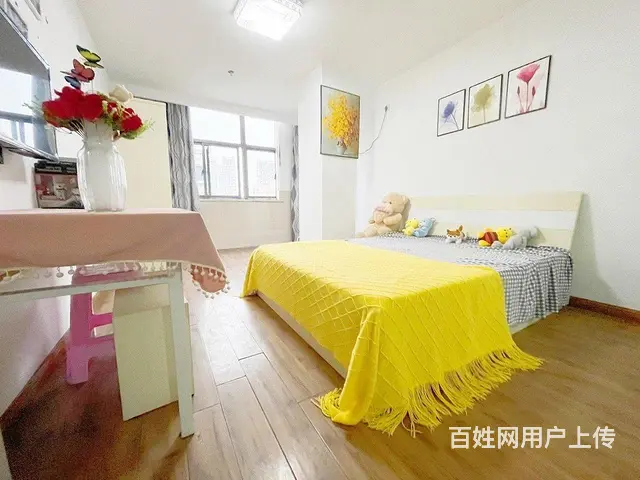 房東直租 月河 华庭街 多套公寓出租 拎包入住 全新配置 - 图片 8