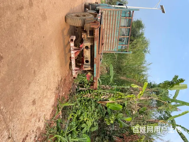 钦机、带后翻甘蔗 - 图片 3