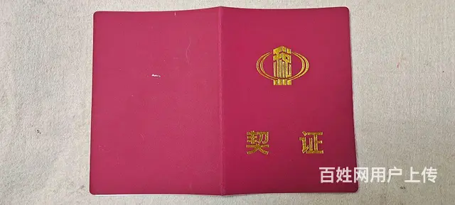 唐大 - 图片