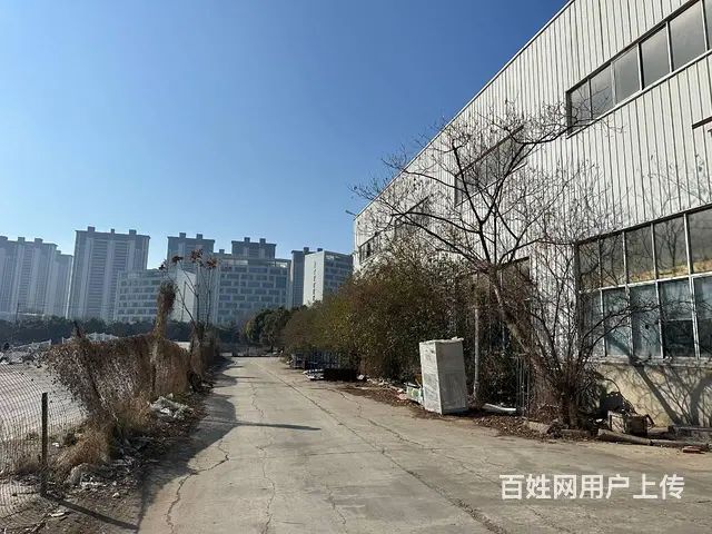 （城市在线找房免费）铜山新区标准钢结构厂房出租 - 图片 7