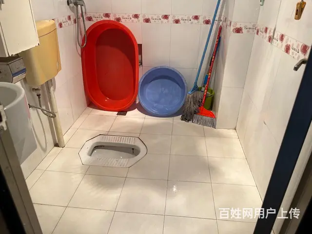 宜宾南岸中山生态园三室一厅出租1500元 - 图片 11