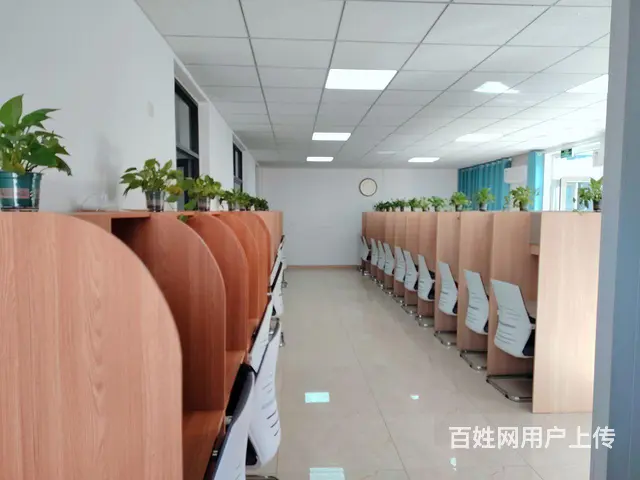 （兆丰）宁家结庄沿街小院出售！可居住可经营 无中介费 - 图片 7