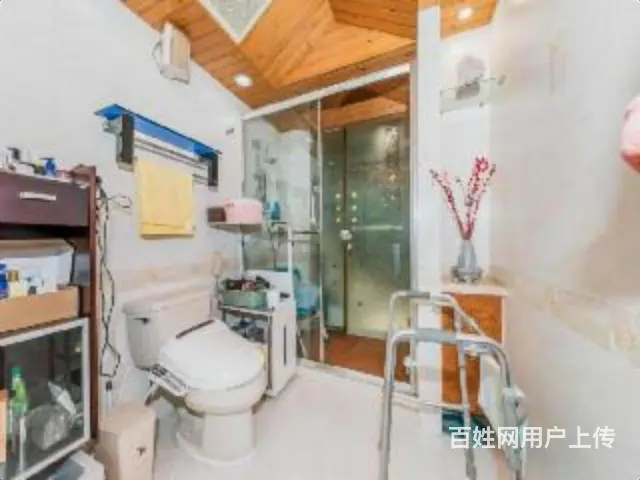 南肖埠中大吴庄别墅别墅豪华装修南北难找房子 - 图片 12