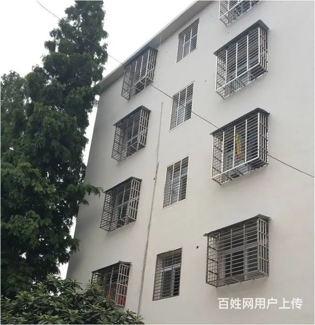 龙潭二小区 平房0厅 中等装修 - 图片 1