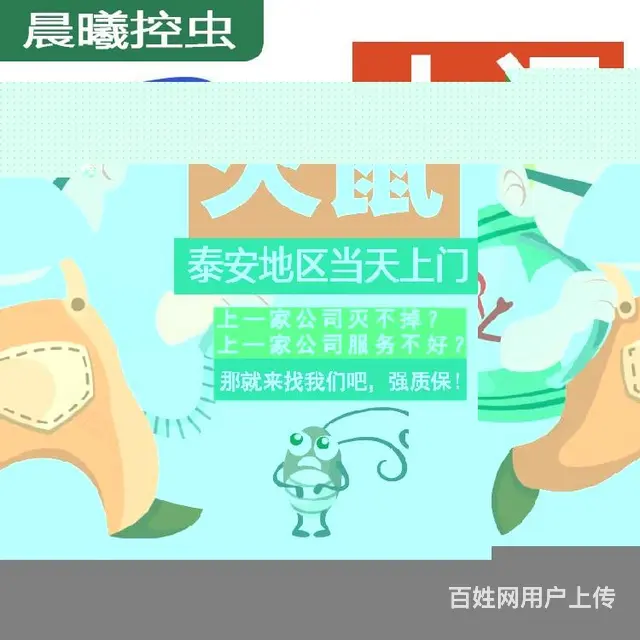 新泰市逮小强晨曦控虫专业团队 - 图片 3
