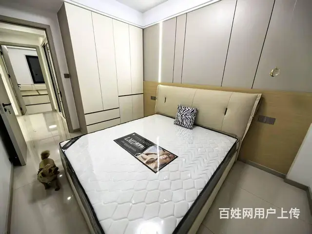 河东一高中附近山水鑫苑2楼双筋杨木芯环保板材精装未住中央公园 - 图片 7
