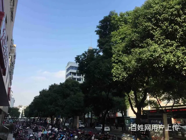局小实验！电梯房！地段！的资源！金鼎公寓 - 图片 10