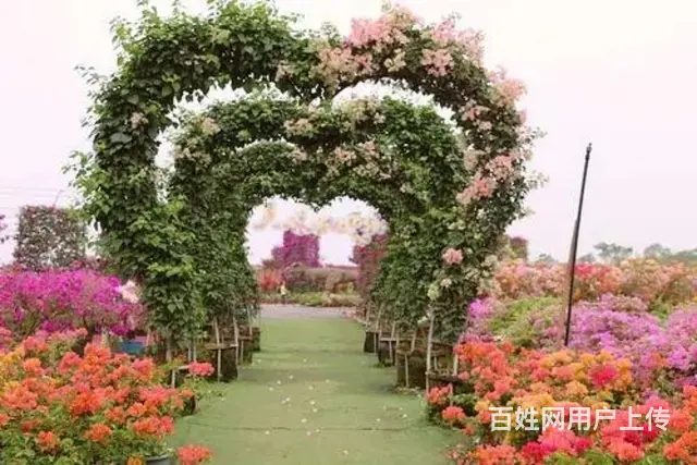 五彩田园景区房房东直租 - 图片 12
