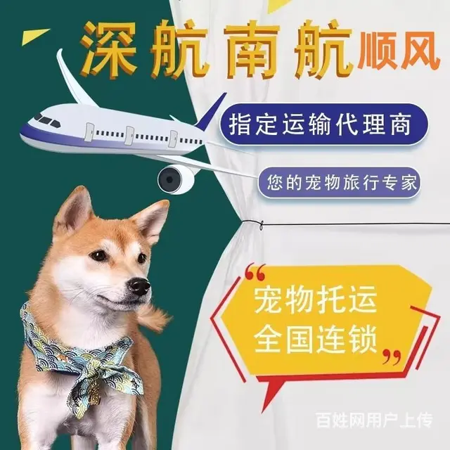 林芝市宠物托运（猫狗）邮寄快递（2023今日 推荐运输 - 图片 6