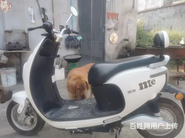 60v雅迪电动车 - 图片 3