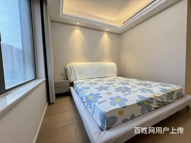 东湖金茂府 3室2厅2卫 一线湖景 精装修拎包直接 - 图片 8
