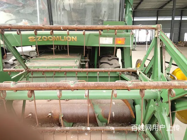 极品谷王 - 图片 4