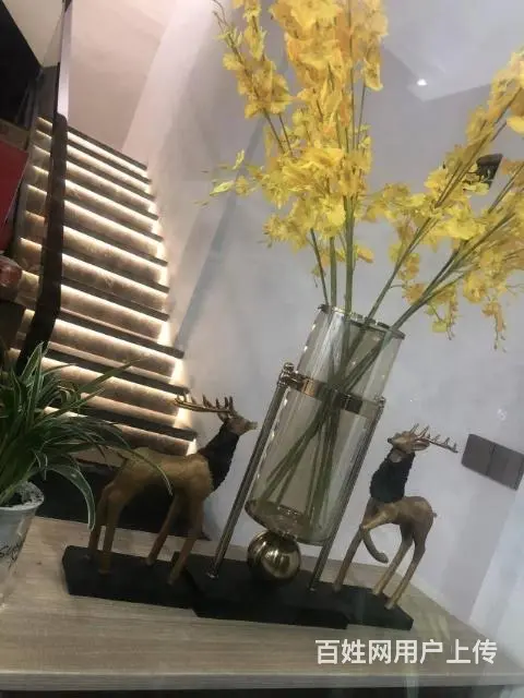 湖州市吴兴区织里富民南路200平餐馆转让 - 图片 4