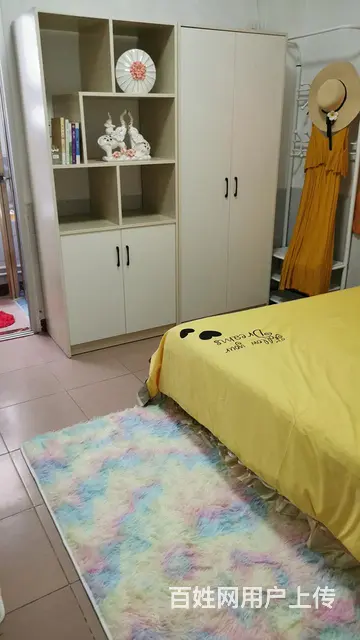 地铁房全新精装招租 - 图片 5