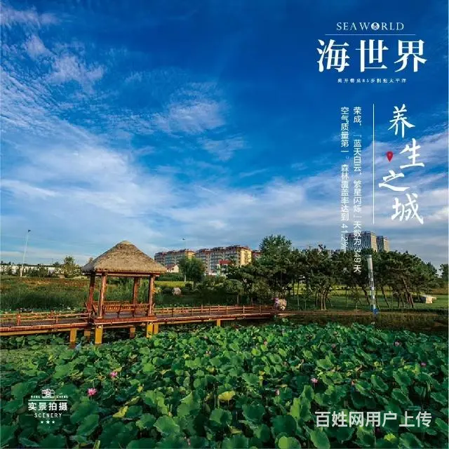 荣成樱花湖海世界 南北通透一线精装海景房，空气清新环境优雅 - 图片 6