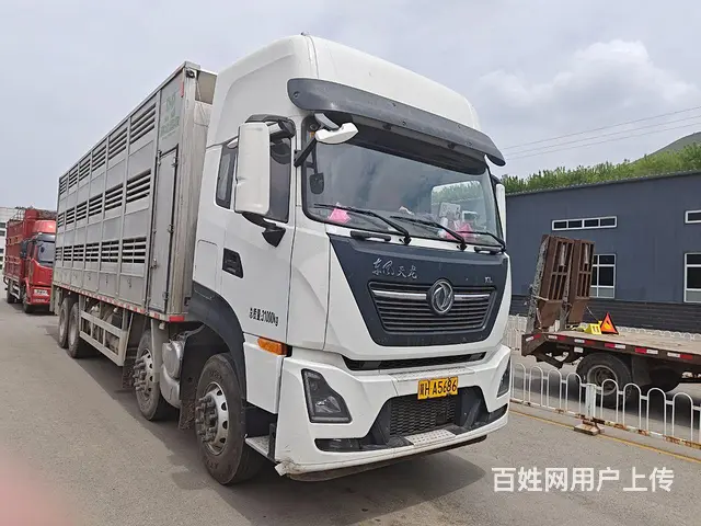 东风天龙    拉猪专用车  国6 - 图片 1
