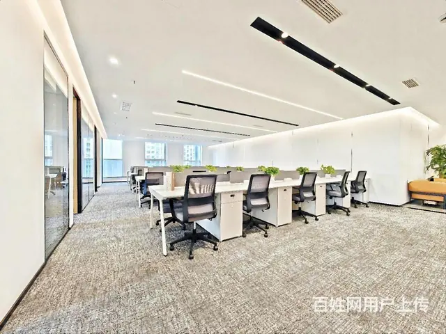 山鸟月中寒，梦醒平盛下。正大国际 豪华装修  业主急租！ - 图片 8