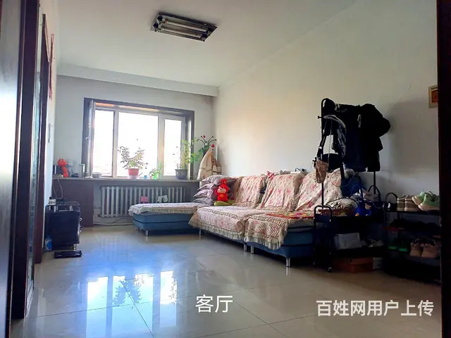 房屋出租 - 图片 8