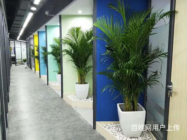 灵活共享办公 低于市场价 长沙市中心地铁口 设施齐全 - 图片 4