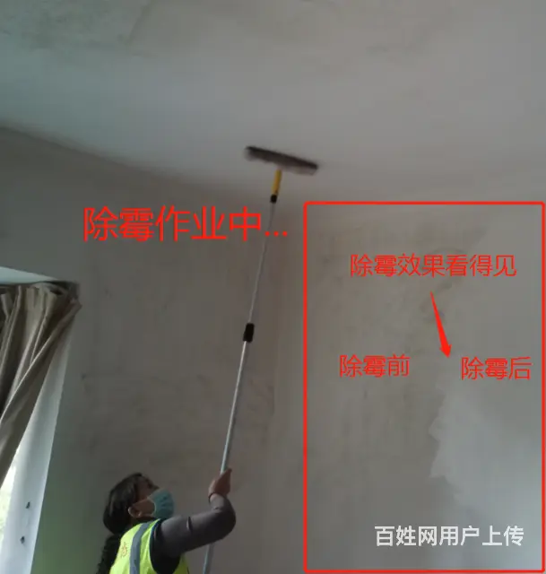 广州天河岗顶除霉公司，墙体去霉服务，房子顶部除发霉 - 图片 4