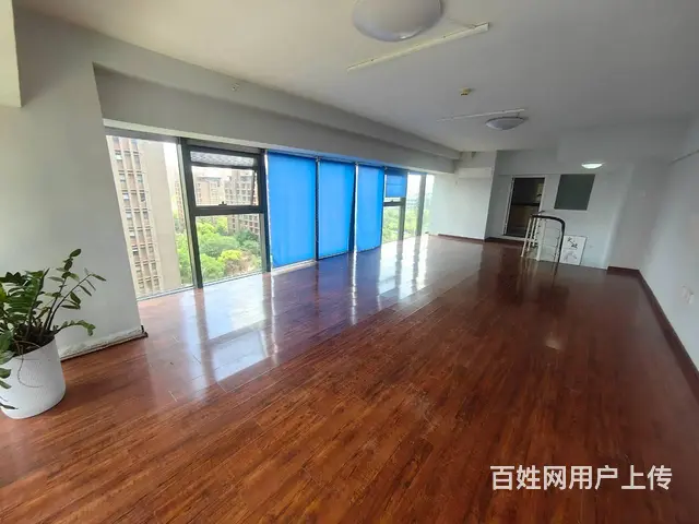 绿地商务蓝海120平复式高层精装纯办公 - 图片 7