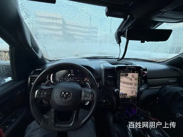 霸王龙 - 图片 2