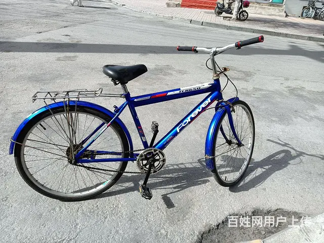 永久自行车 - 图片 3