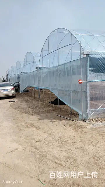 连栋保温大棚整体场地出售 - 图片 6