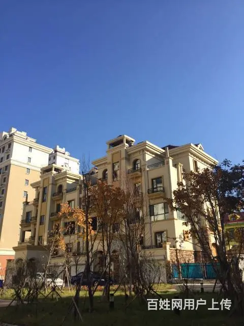 经典联排叠墅带车库带凉台赠送面积超低价出售可贷款 - 图片 9