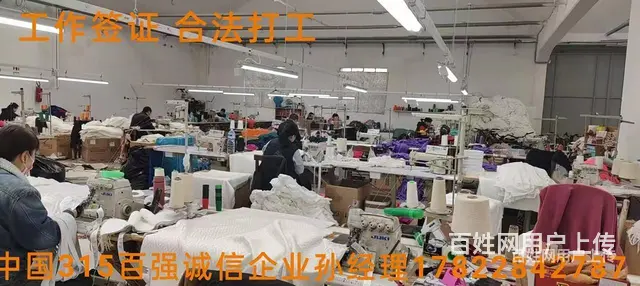 大兴安岭出国劳务一手项目0费用雇主保签包吃住诚招代理 - 图片 2