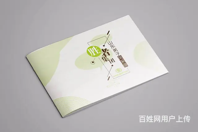 专业画册设计、单页设计、企业通讯录设计、折页设计 - 图片 2