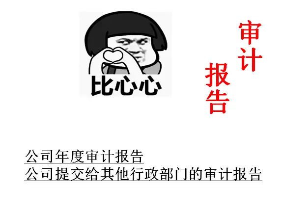 做2023年度贴防伪标识的审计报告多少钱？ - 图片 4